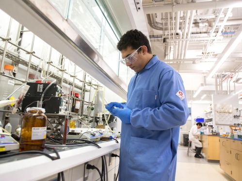 A grad student conducting research in the lab