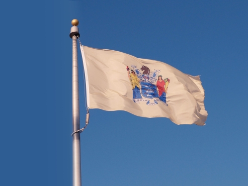 NJ state flag